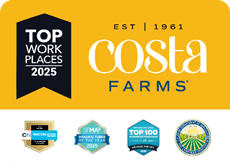 Costa Farm