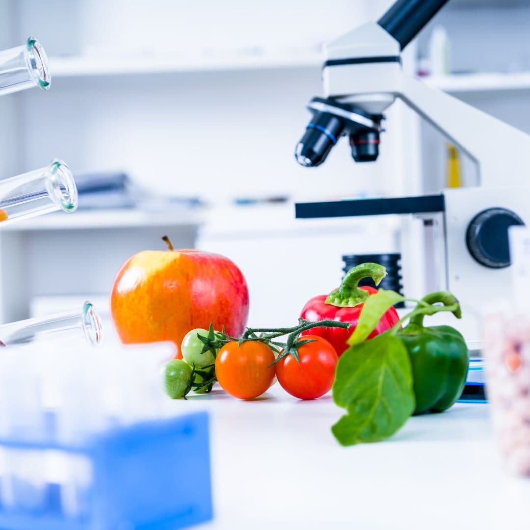 Diplomado en Seguridad Alimentaria e Inocuidad